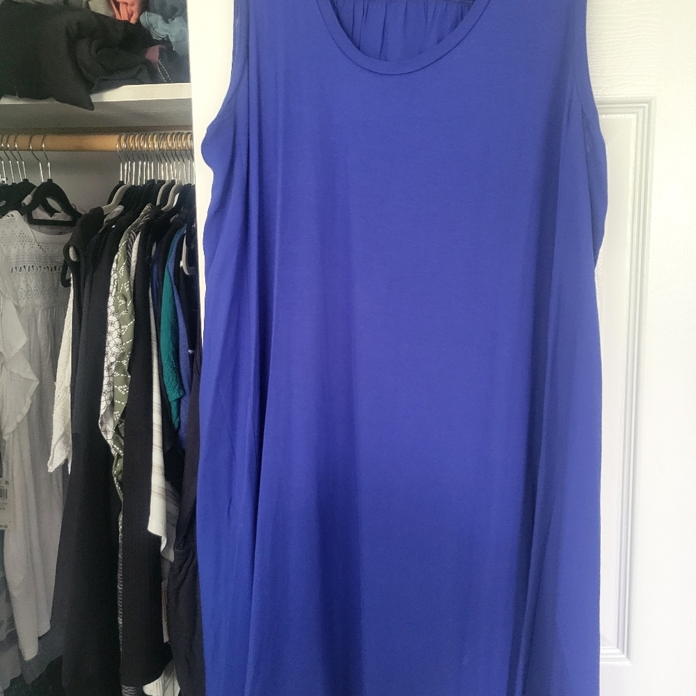Loft sleeveless dress